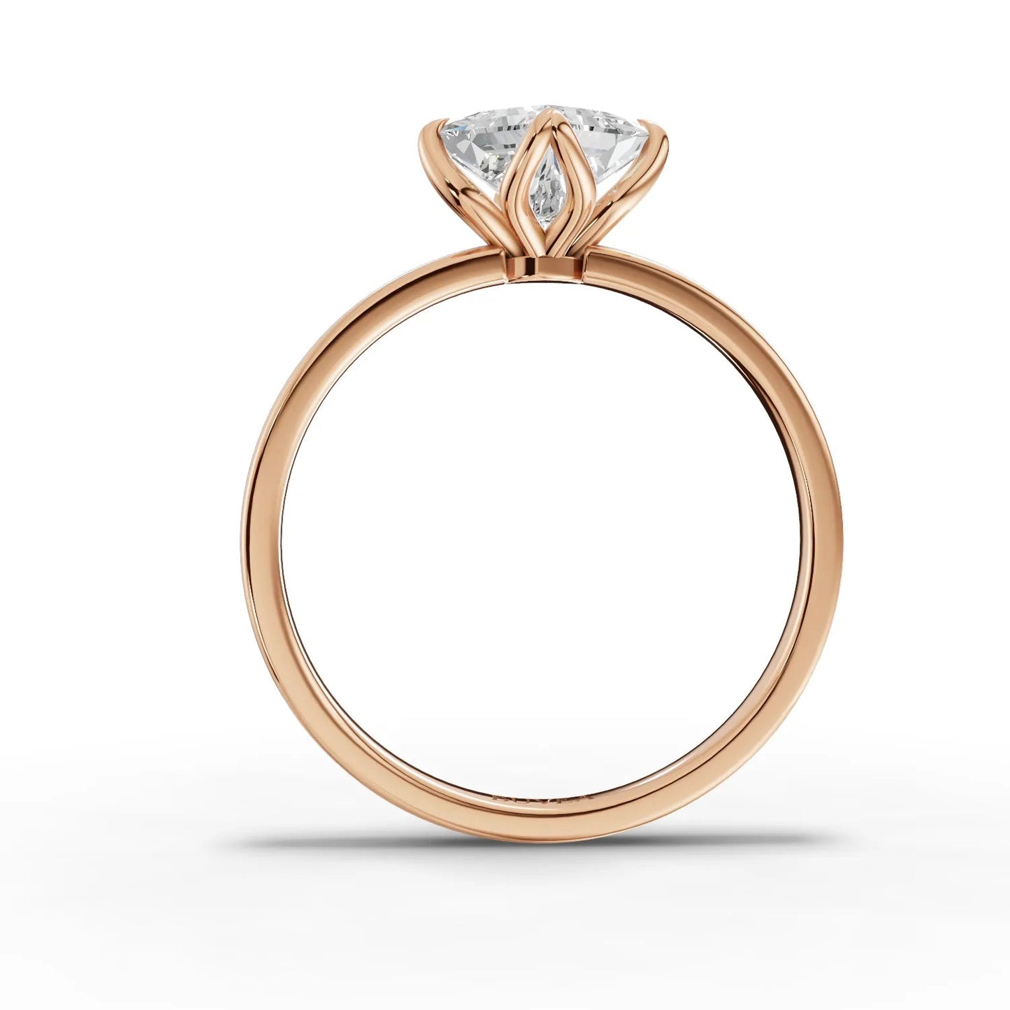 1 Carat Center Princess Cut Moissanite Diamond Engagement Ring
