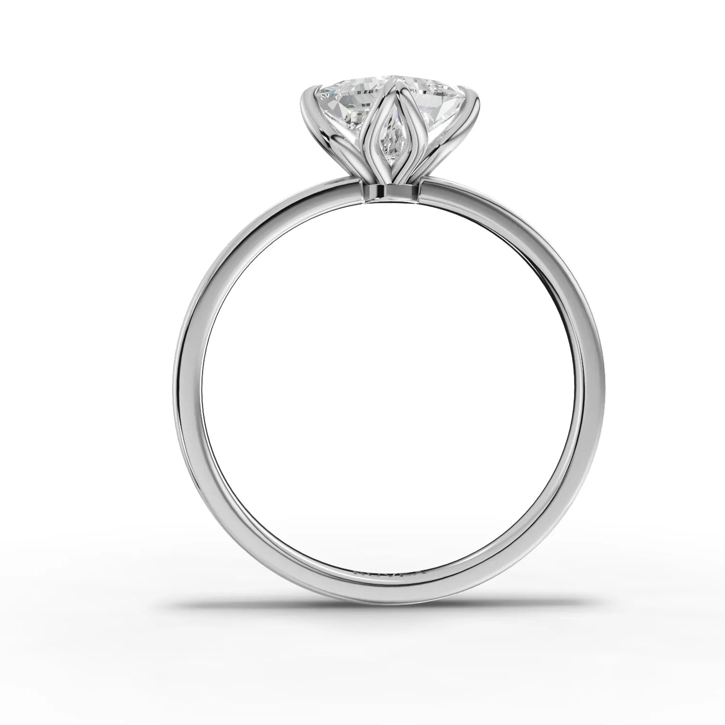 1 Carat Center Princess Cut Moissanite Diamond Engagement Ring